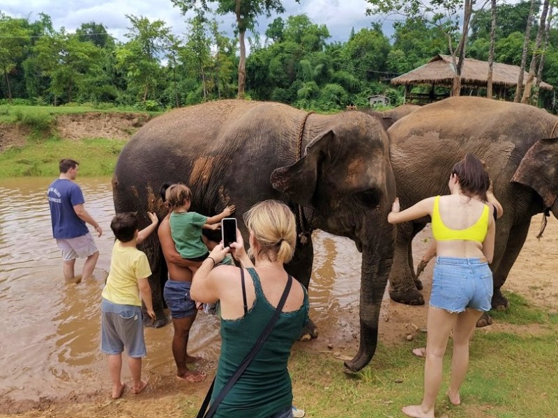 elephant sanctuary tour from bangkok